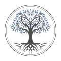 druidys.com